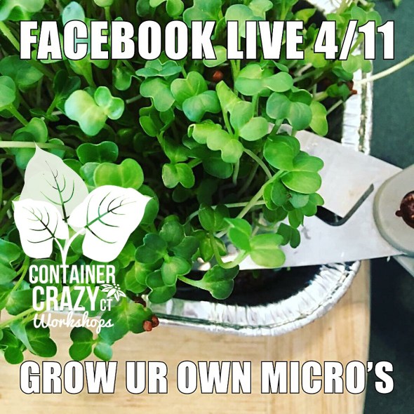 April 2018 Cathy Testa CCC Copywrite_0003