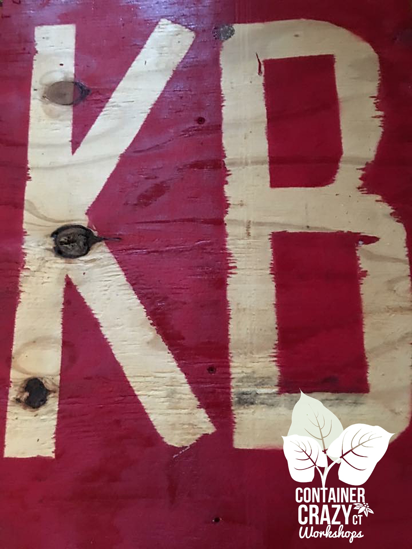 BBPOTS Container Crazy CT_0007