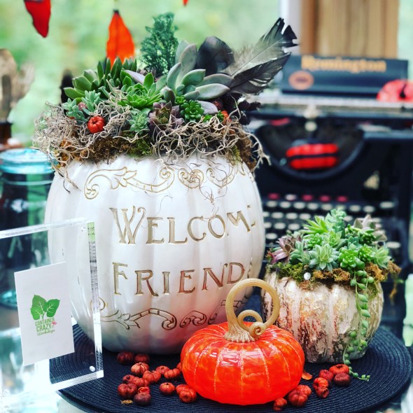 Faux Pumpkins Grouping