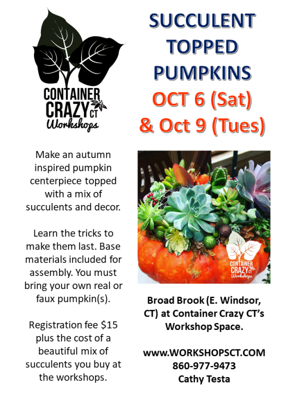 flyer succ pump 2018 Updated