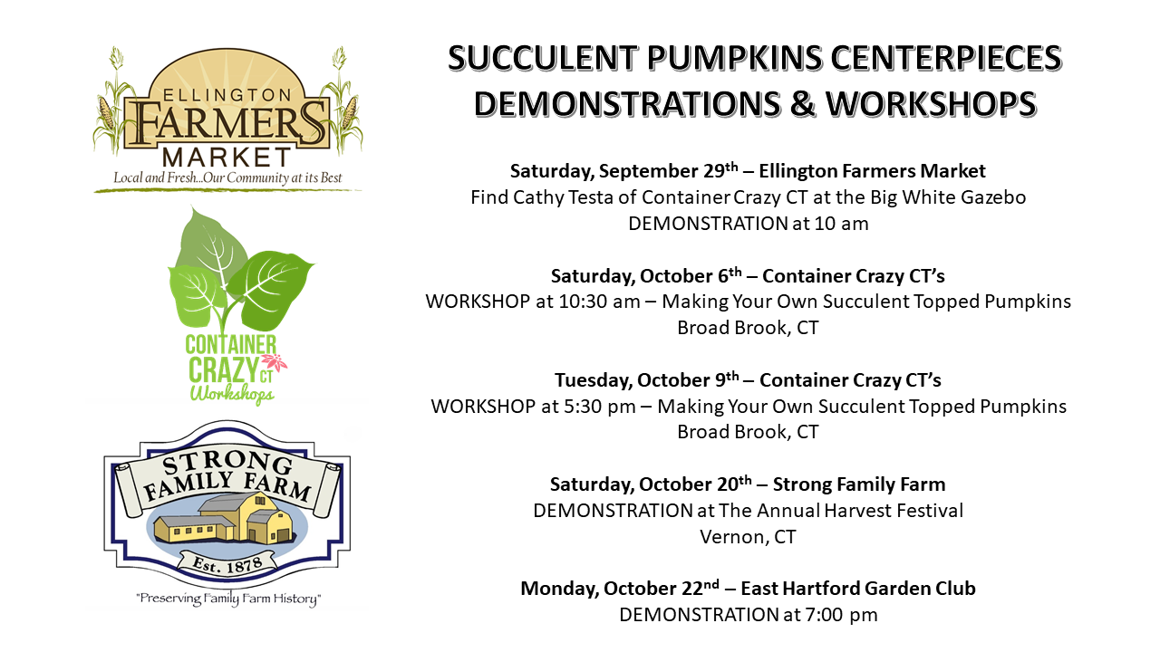 Horizontal Collage Flyer 2018 Upcoming Events