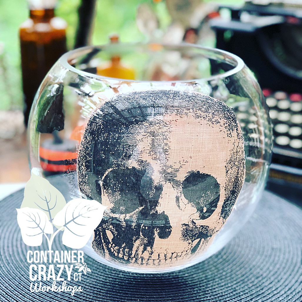 spooky terrarium copywrite photo C Testa_0003