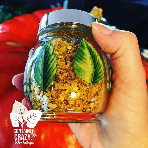 A Pepper Plants Copywrite C Testa_0005