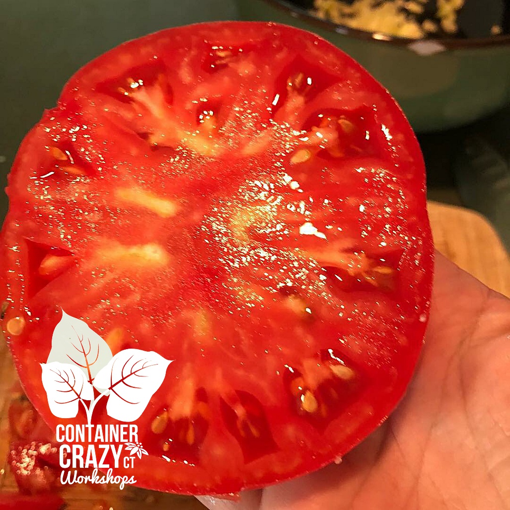 seed starting c testa copywrite_0009