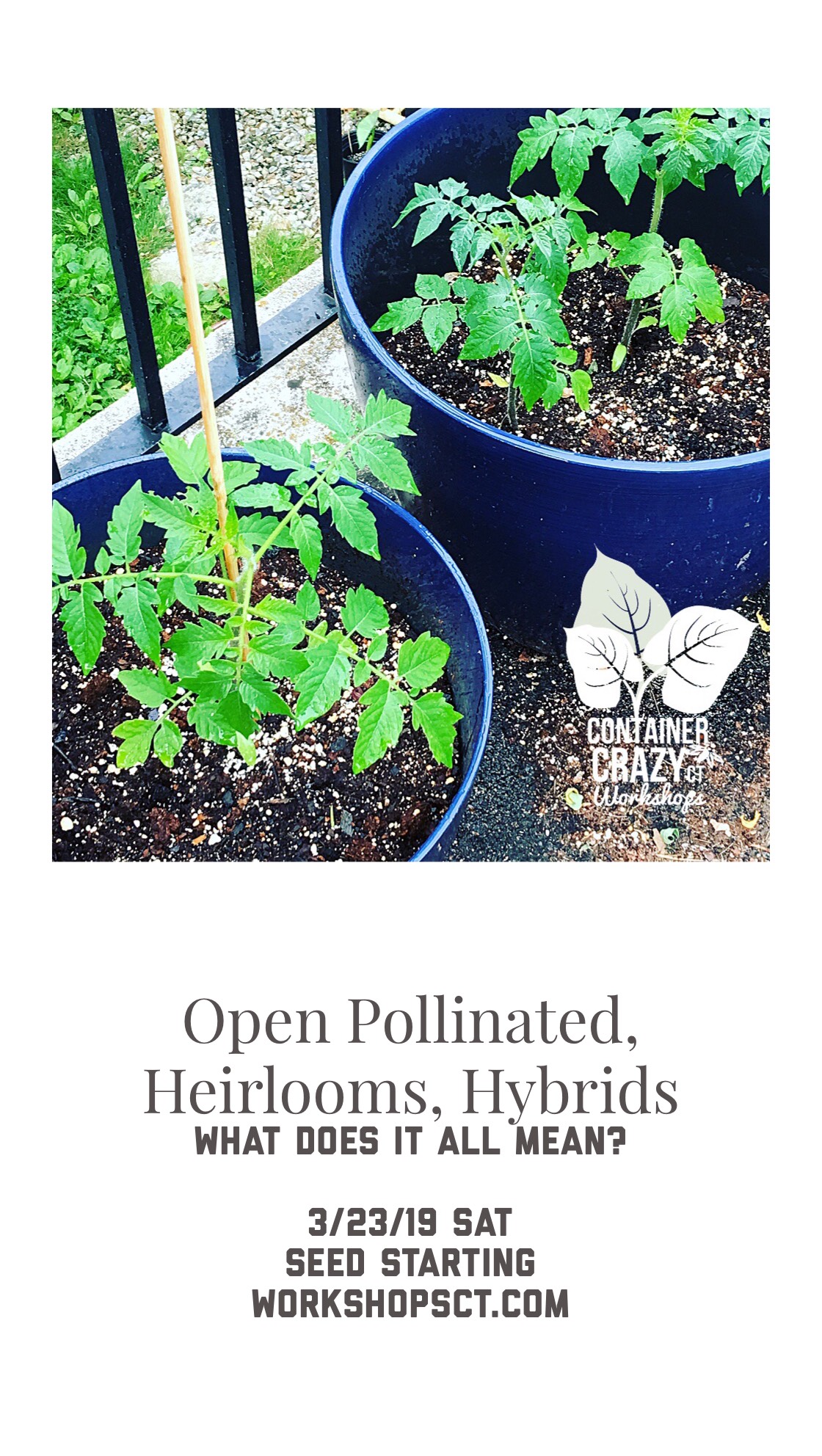 Open Seed Session Poster