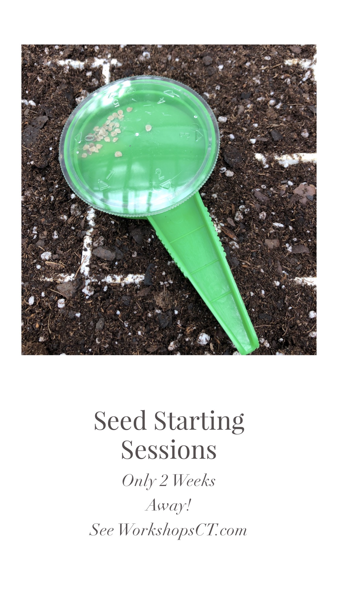 Over Photo Seed Starting