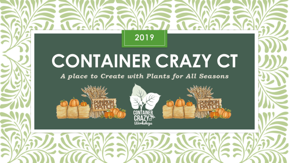 Banner of Workshops for FB Page Oct 2019