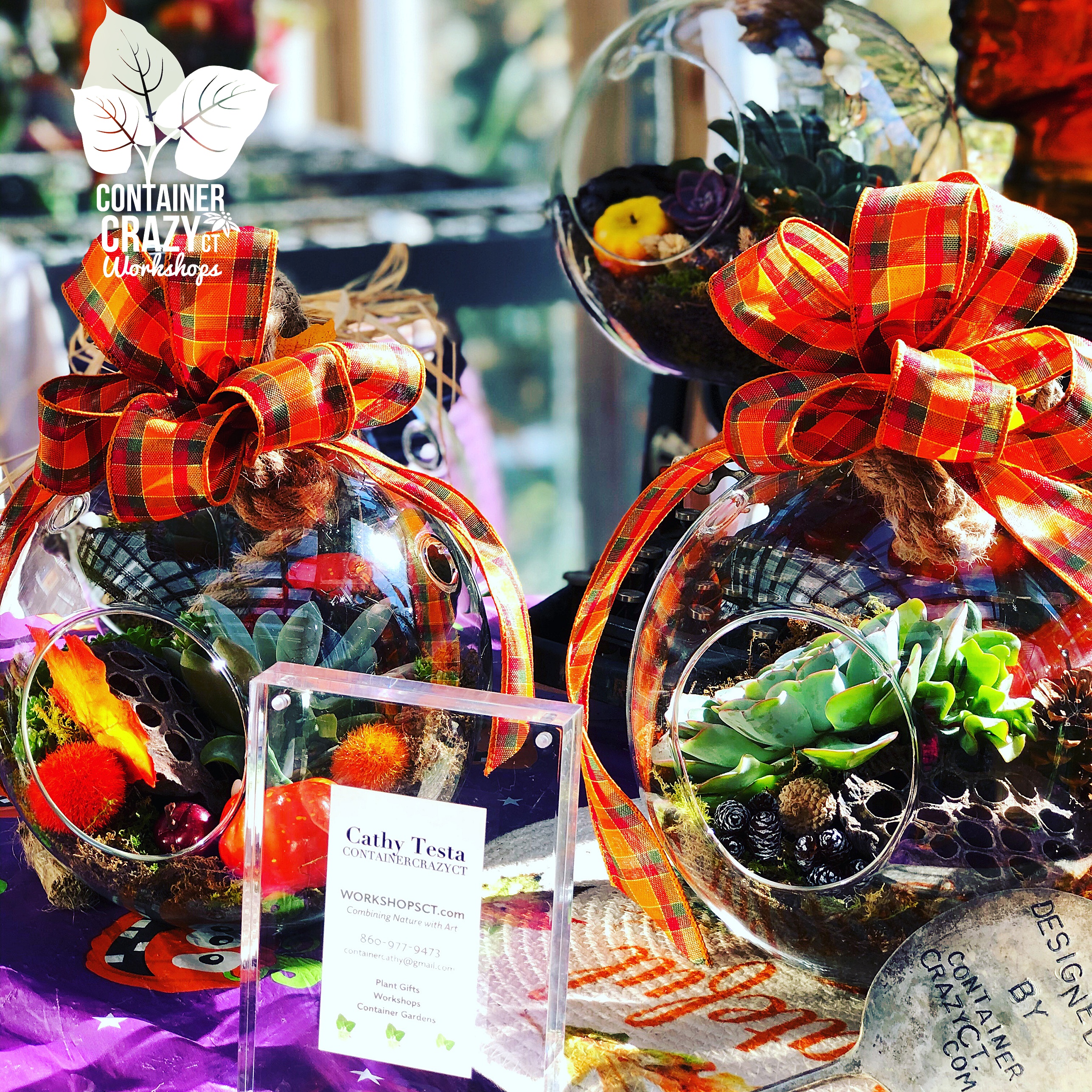 Fall Fair by C Testa Copywrite_0002