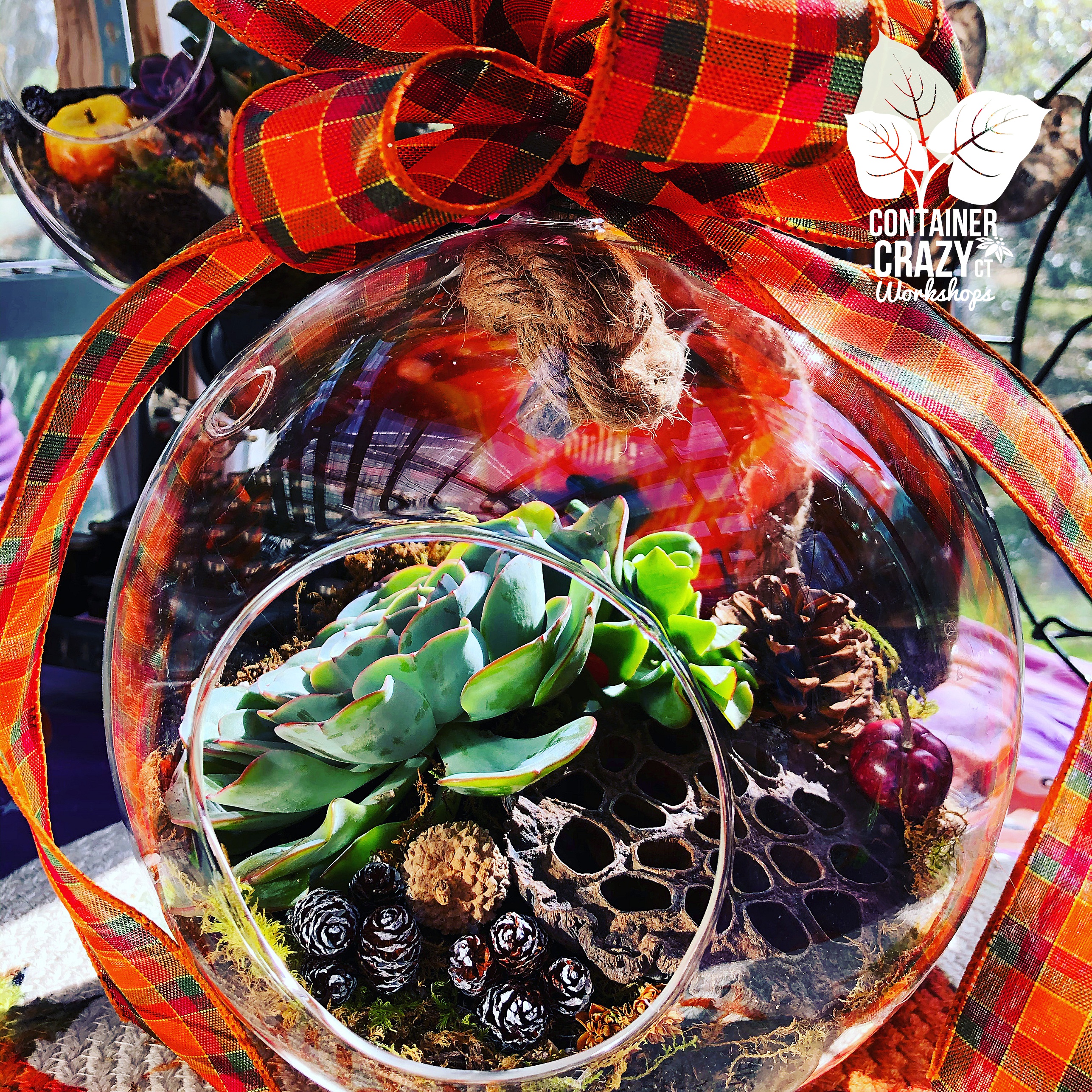 Fall Fair by C Testa Copywrite_0003