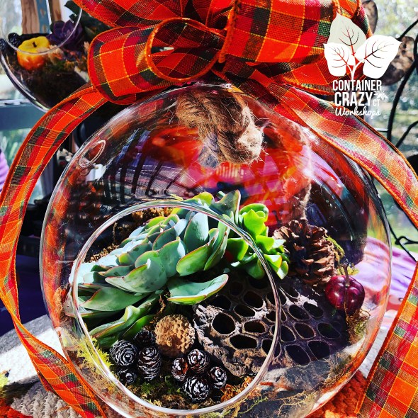 Fall Fair by C Testa Copywrite_0003