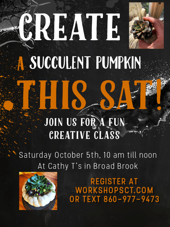 Flyer Succ Pump This Sat