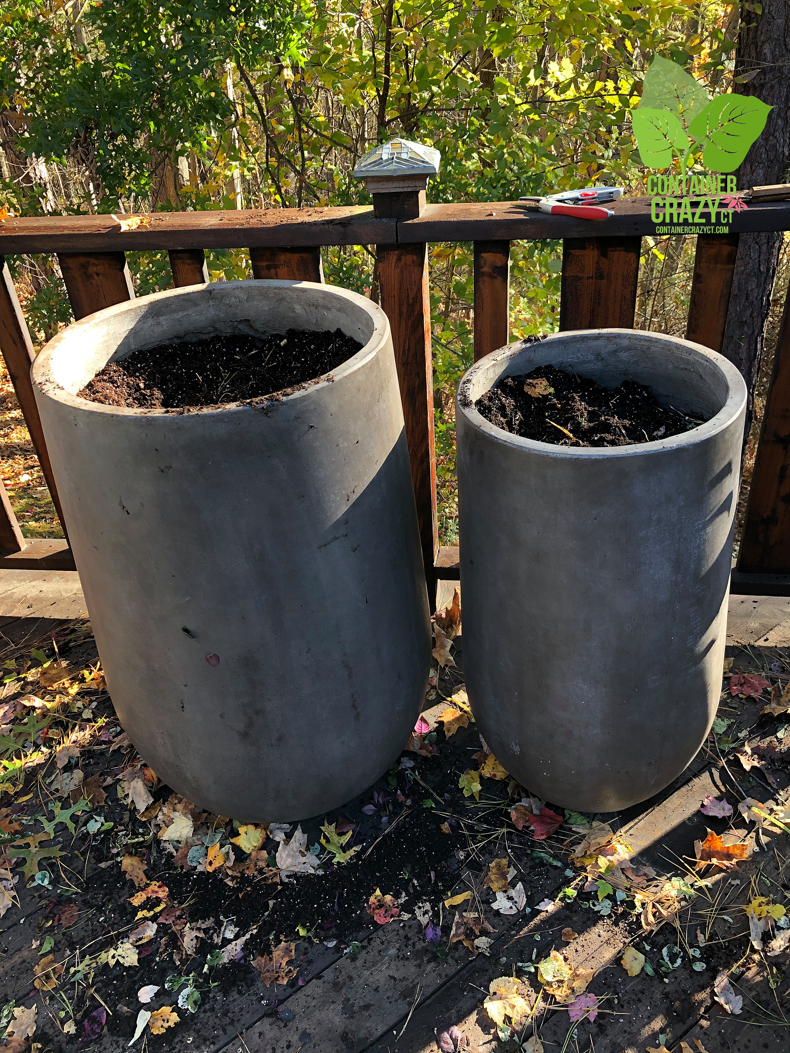 Overwintering 2019 by C Testa Copywrite_0003