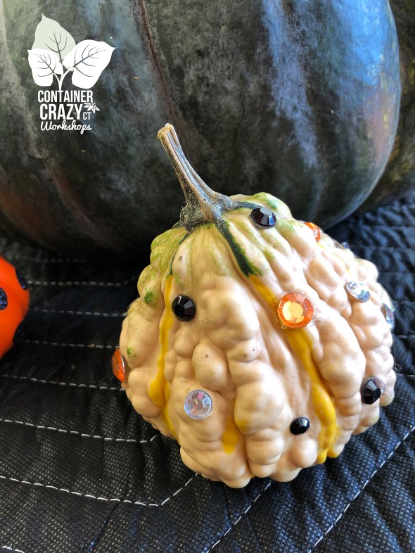 Succ Pumpkin Workshops by C Testa Copywrite_0002