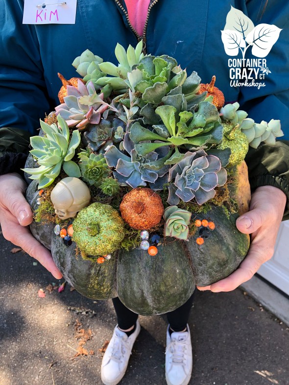 Succ Pumpkin Workshops by C Testa Copywrite_0003