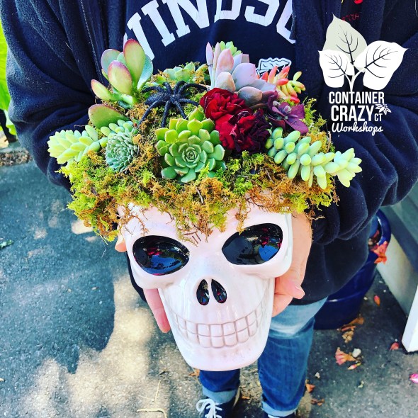 Succ Pumpkin Workshops by C Testa Copywrite_0004