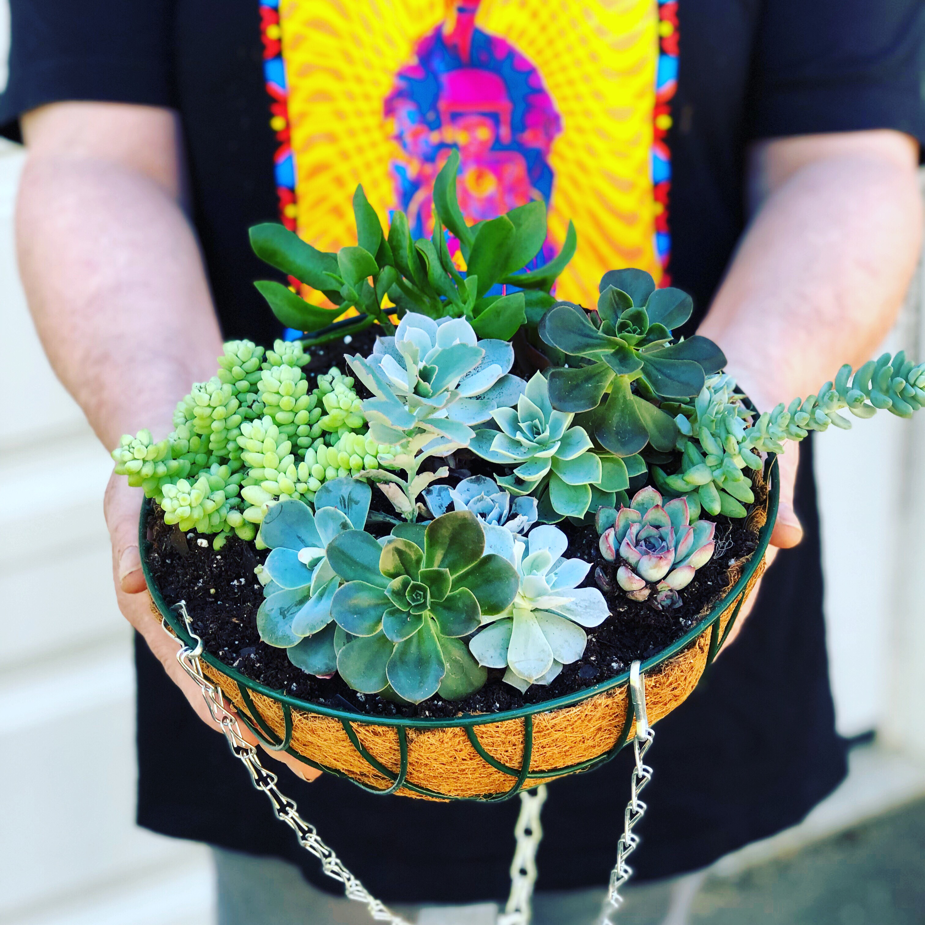 Good Photo Kim with Hanger