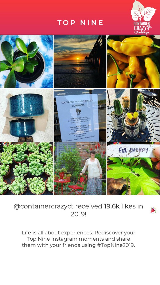 Top Nine 2019 by C Testa Copywrite_0002