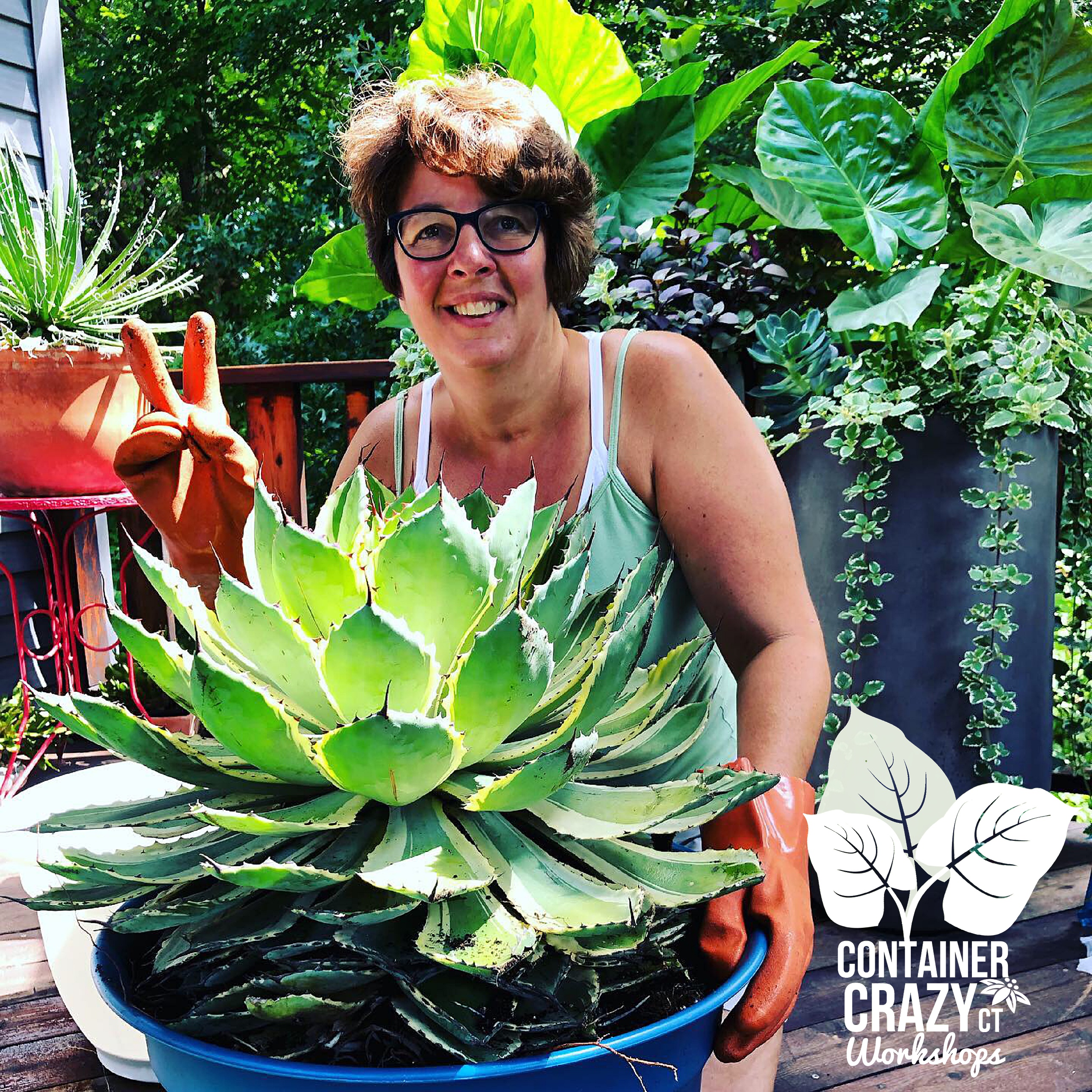 Agave 2020 by C Testa Copywrite_0001