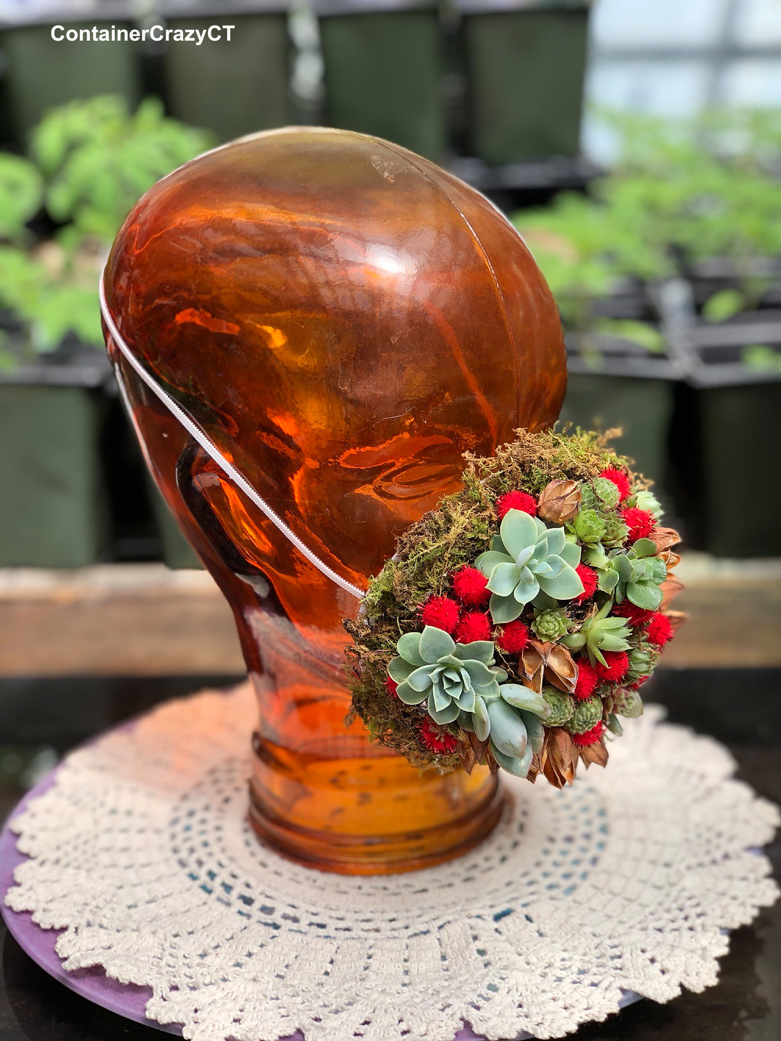 Covid Stories by C Testa Copywrite_0006