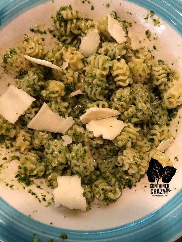 Pesto by C Testa Copywrite_0001